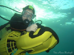 The PADI seal team Jacopo  running to the future!!!
Came... by Marco Busdraghi 